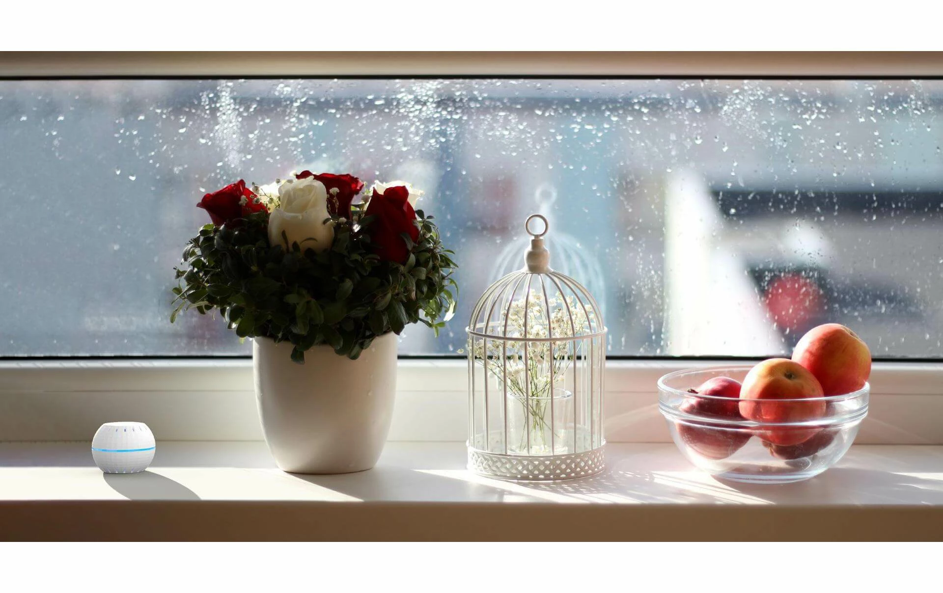 Capteur De Température Et D'humidité WLAN Shelly H&T WiFi Black - Smart Home – Image 3