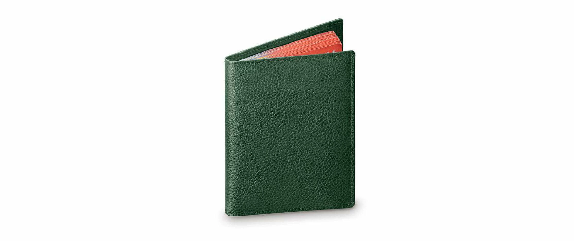 Swicure Housse De Protection Passport-Safe Vert Foncé - Protection D'objets De Valeur