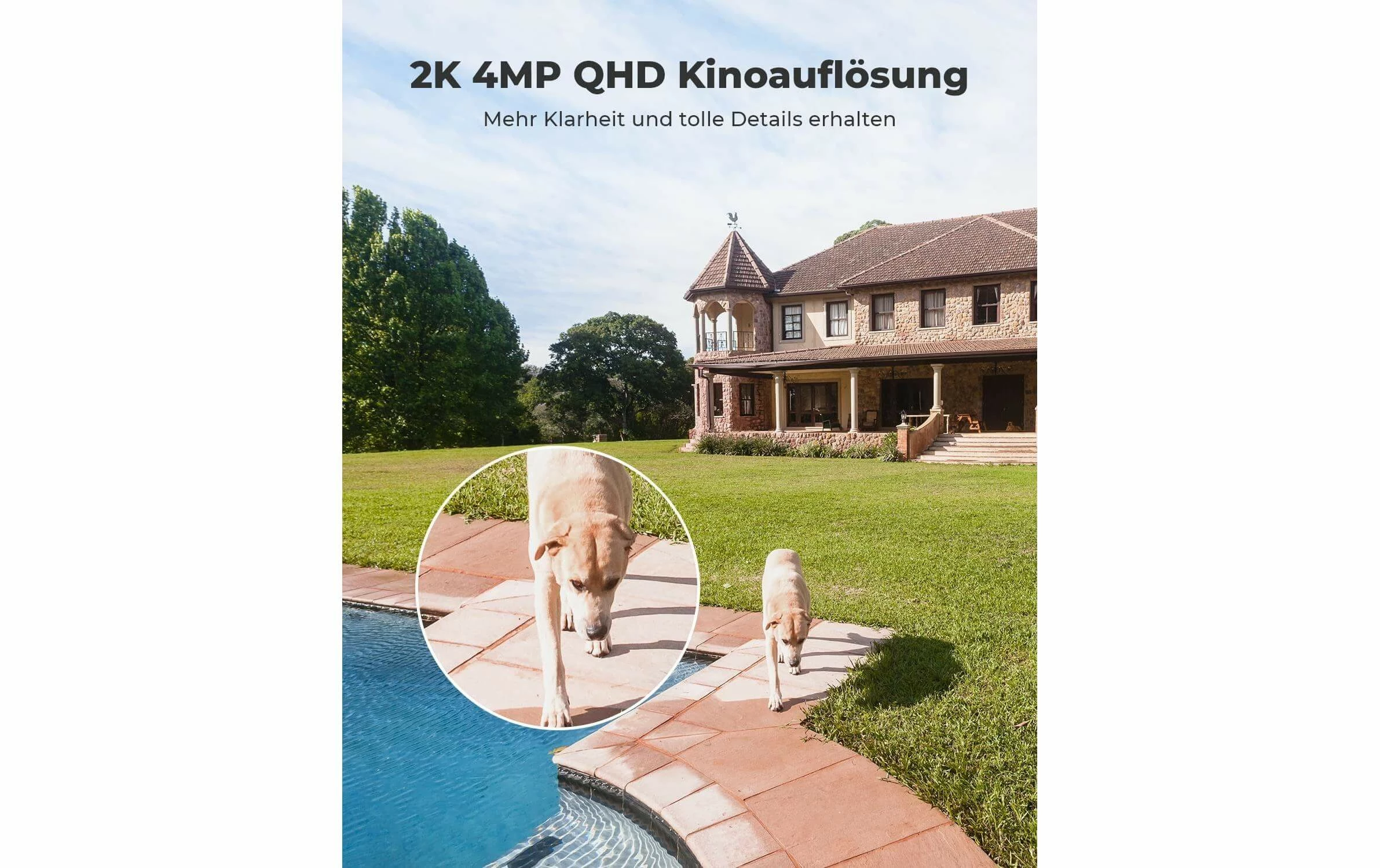 Reolink Caméra Réseau Argus 3 Pro, Noir - Camera Surveillance – Image 3