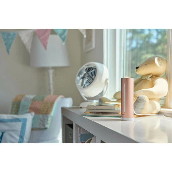Netatmo Capteur D'air Ambiant Intelligent - NA-NHC-DE - Smart Home – Image 2