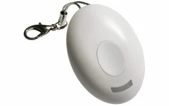 Intertechno Mini-télécommande Radio ITKL-30 Pour Les Scènes - Smart Home